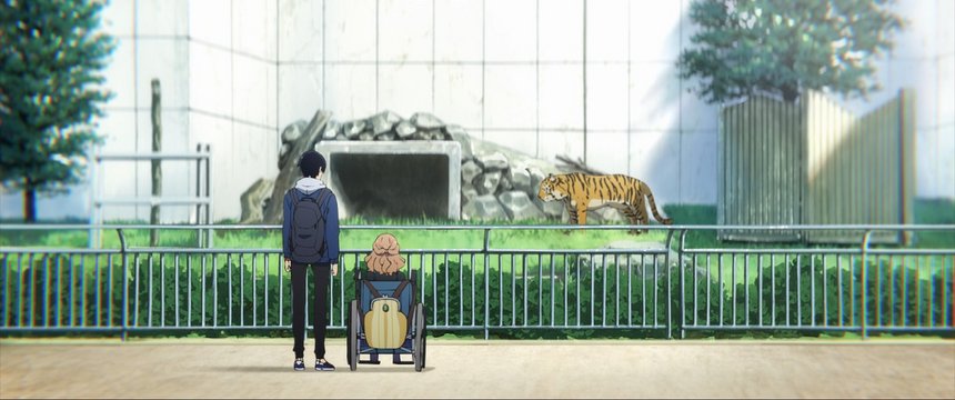 Zoo Tiger Enclosure