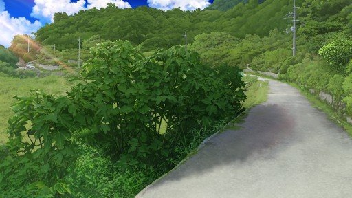 The path where Ao is met