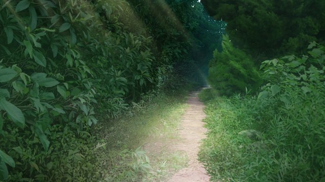 苍执行任务的山道
