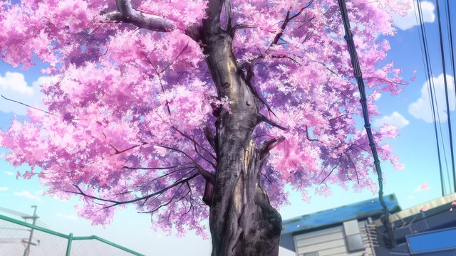 Tree in front of Anō Station