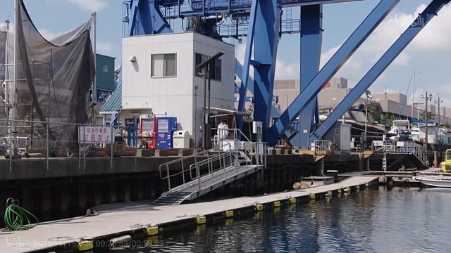 Confrontation at the Bay Marina