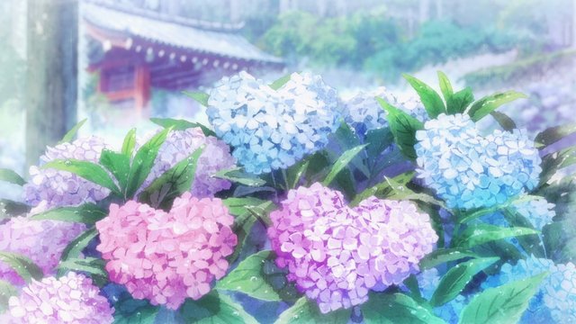 Hydrangea-lined temple approach