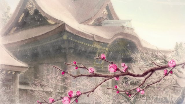 Ancient shrine with plum blossoms