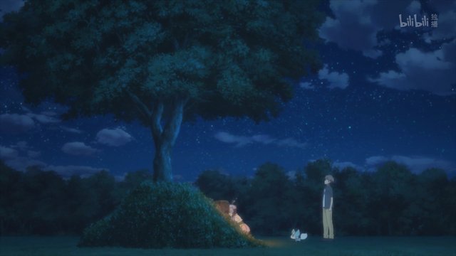 夏の思い出の花畑