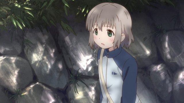 Forest Path