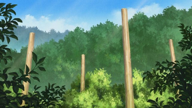 The Four Pillars of Suwa Taisha