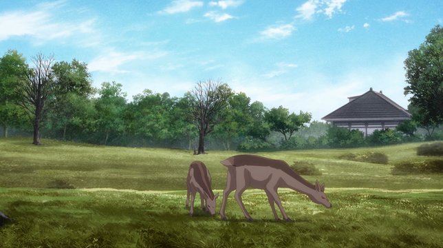 Feeding Deer in the Park