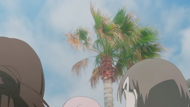 葉山港のヤシの木