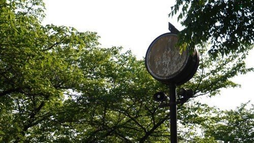 Park behind the Public Housing Complex