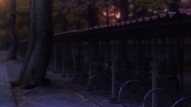Bicycle Shed
