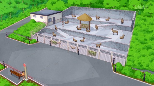 Zoo Sloping Path