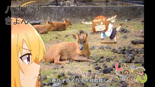 Kyon Breeding Facility