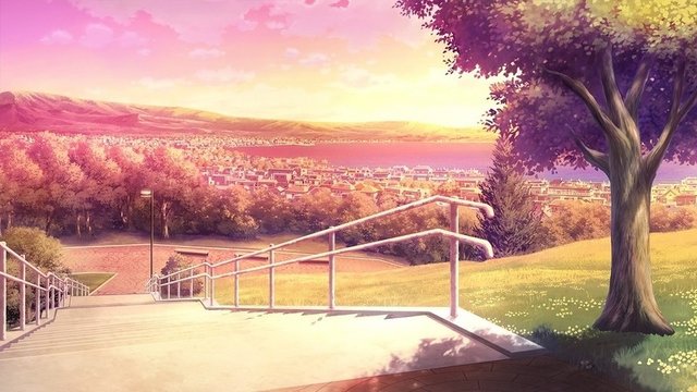 Sunset Hill Bench