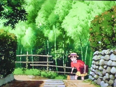 竹のトンネル