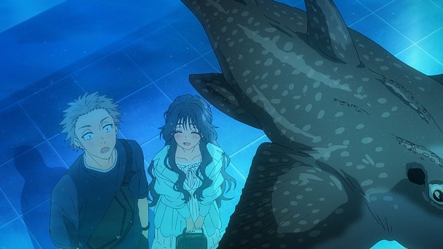 梦幻水廊