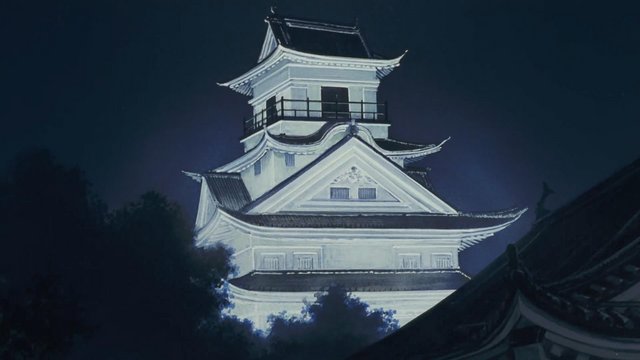 Kochi Castle Night View