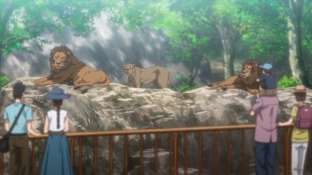 とべ動物園のライオン舎