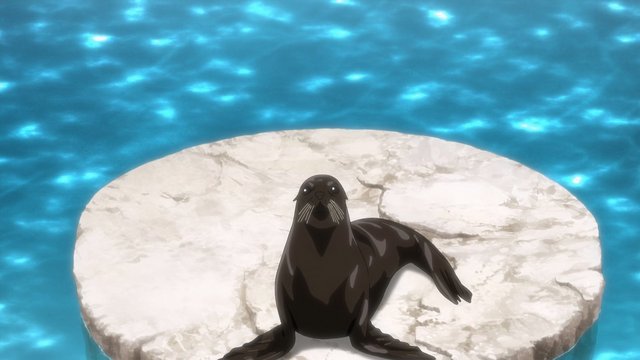 アシカ舎前のひととき