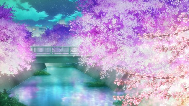 Sakura of Ondagawa River