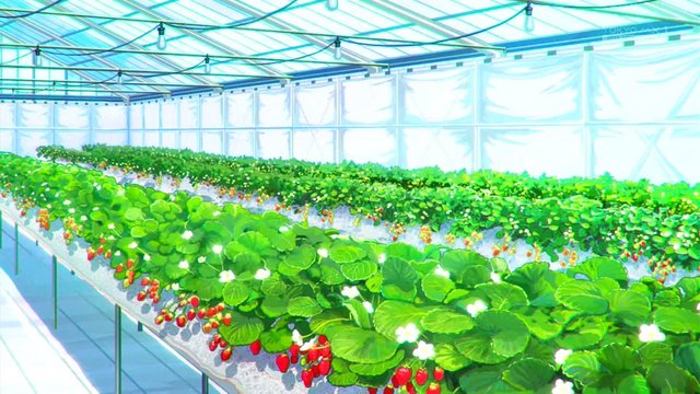 Strawberry Picking Greenhouse