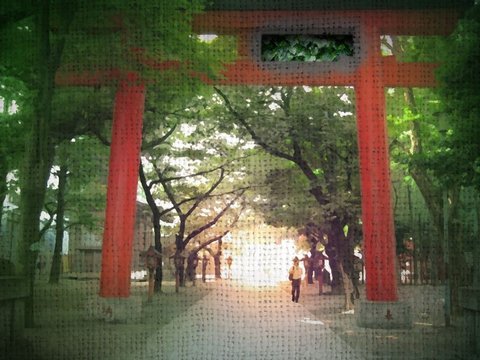 Hanazono Shrine Torii and Approach