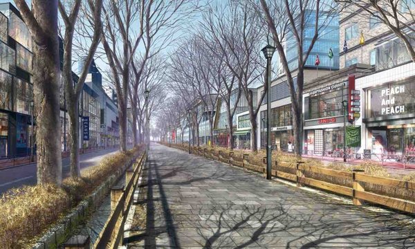 Meiji-dori reference scene