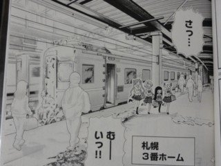 Sapporo Station Platform 3