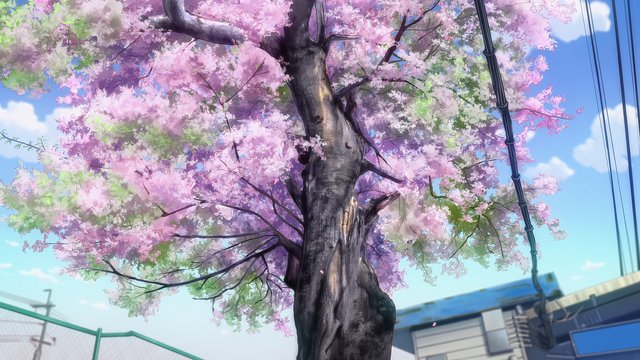 Tree at Ano Station