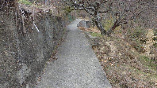 Road to the Trailhead