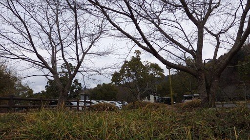 Along the Kure Line (near Bamboo Joy Highland)