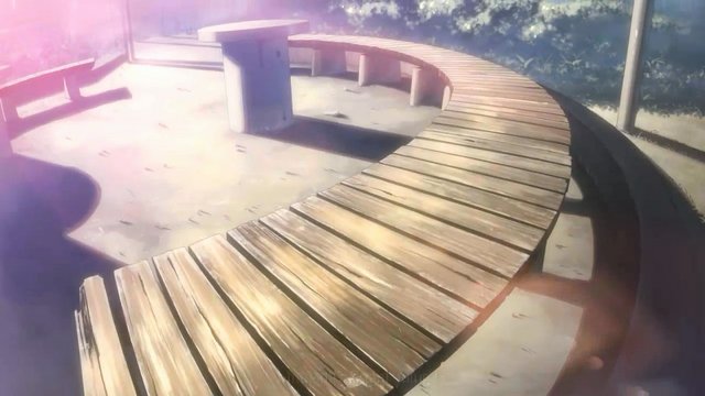 Bench under cherry blossoms