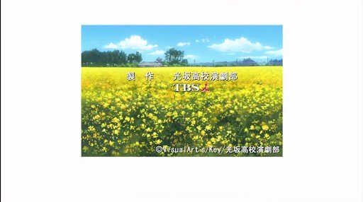 Running in the rapeseed field