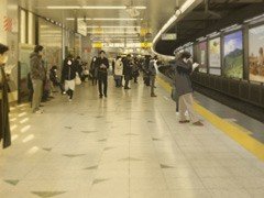 Yamanote Line Platform