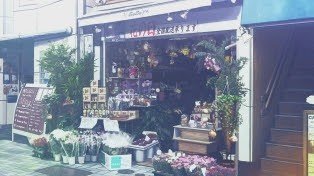 Sasaya Secondhand Game Shop