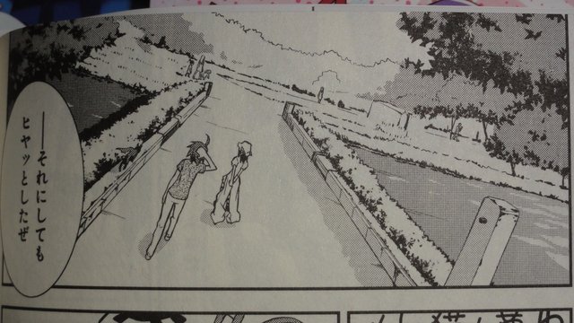 Takada Park Bridge Scene