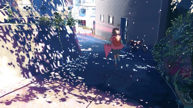 Cherry Blossom Slope