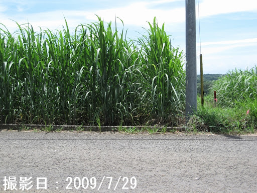 Hilltop